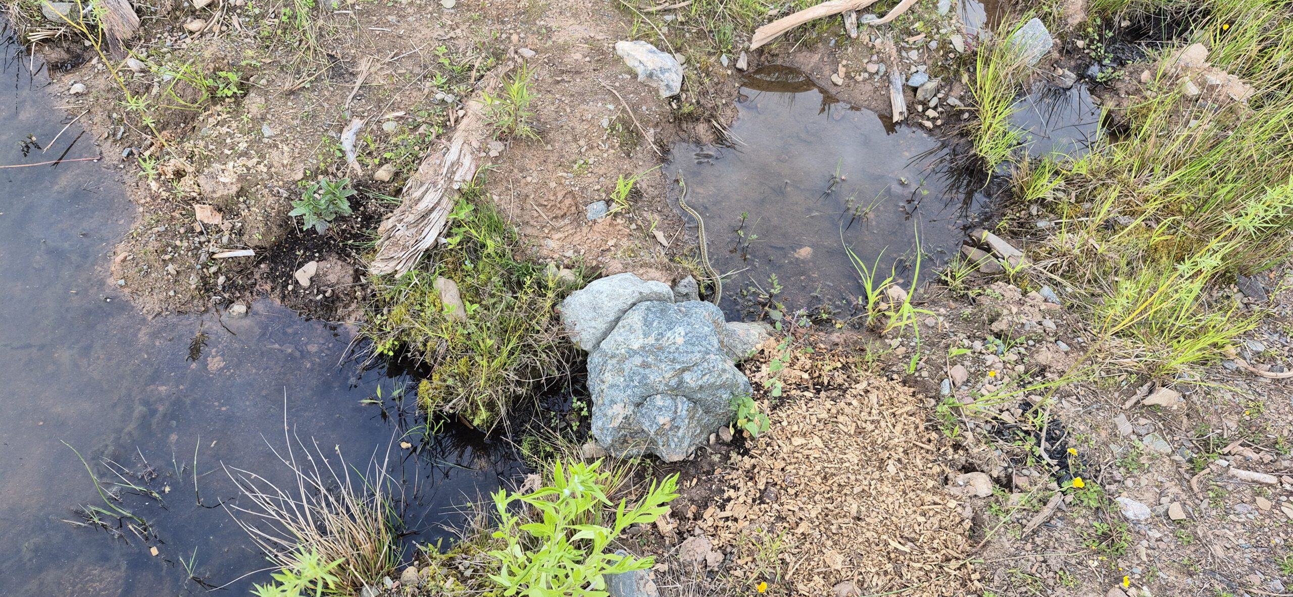 Willkommen bei Maritime Roots Collective (MRC)